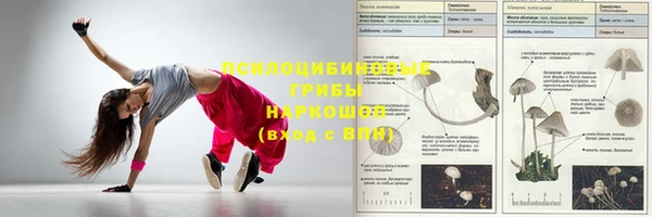 амфетамин Богородск