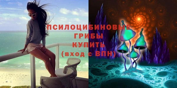 мет Бородино