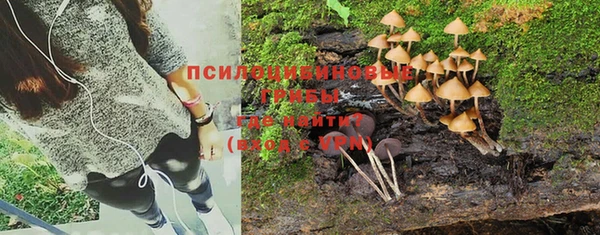 а пвп мука Богданович