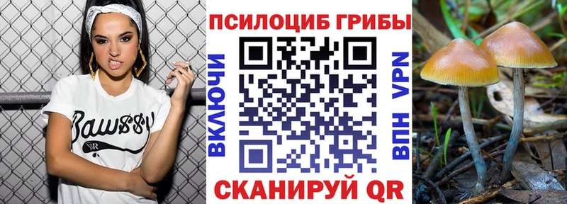 Галлюциногенные грибы мицелий  закладки  Хабаровск 